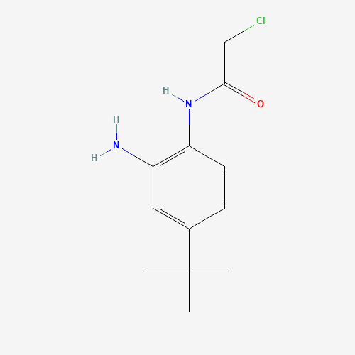 N-(2-amino-4-tert-butylphenyl)-2-chloroacetamide (CAS: 882678-84-4) - Related Chemical Product