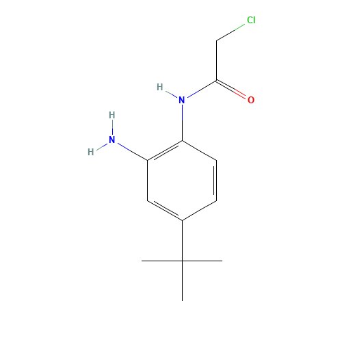 N-(2-amino-4-tert-butylphenyl)-2-chloroacetamide (CAS: 882678-84-4) - Related Chemical Product