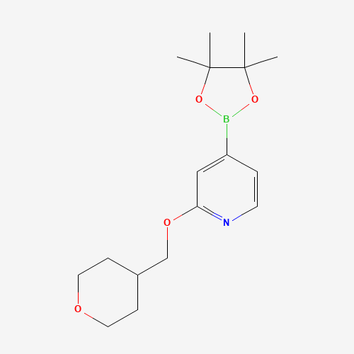 2-(oxan-4-ylmethoxy)-4-(4,4,5,5-tetramethyl-1,3,2-dioxaborolan-2-yl)pyridine (CAS: 1610521-24-8) - Related Chemical Product