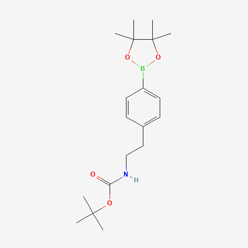 tert-butyl N-[2-[4-(4,4,5,5-tetramethyl-1,3,2-dioxaborolan-2-yl)phenyl]ethyl]carbamate (CAS: 360792-43-4) - Related Chemical Product