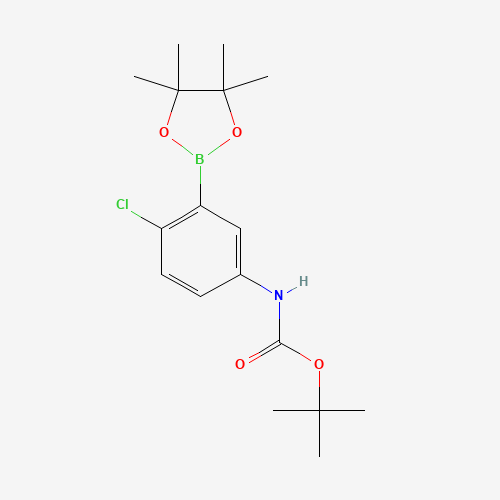 tert-butyl N-[4-chloro-3-(4,4,5,5-tetramethyl-1,3,2-dioxaborolan-2-yl)phenyl]carbamate (CAS: 1080573-28-9) - Related Chemical Product