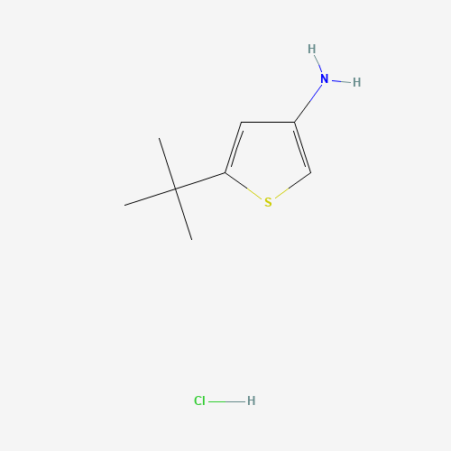 5-tert-butylthiophen-3-amine;hydrochloride (CAS: 75782-77-3) - Chemical Structure and Molecular Formula 