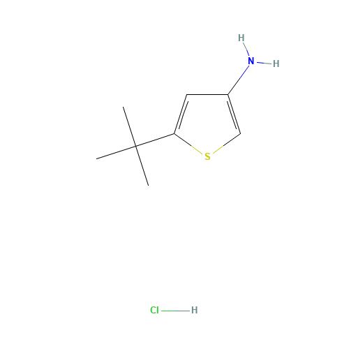 5-tert-butylthiophen-3-amine;hydrochloride (CAS: 75782-77-3) - Related Chemical Product