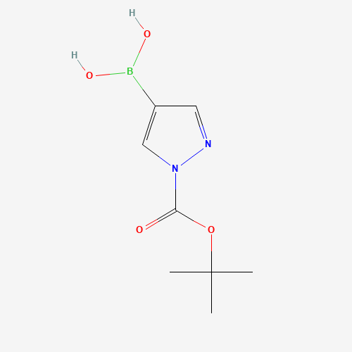 [1-[(2-methylpropan-2-yl)oxycarbonyl]pyrazol-4-yl]boronic acid (CAS: 1188405-87-9) - Related Chemical Product