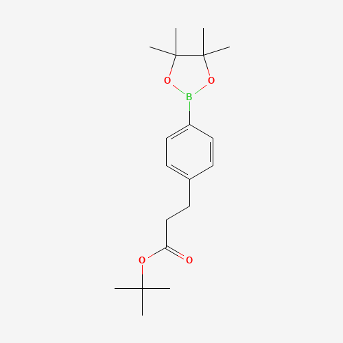 tert-butyl 3-[4-(4,4,5,5-tetramethyl-1,3,2-dioxaborolan-2-yl)phenyl]propanoate (CAS: 872054-15-4) - Related Chemical Product