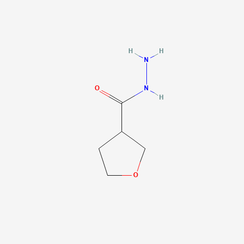oxolane-3-carbohydrazide (CAS: 59293-32-2) - Related Chemical Product
