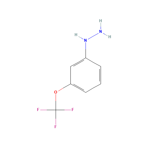 [3-(trifluoromethoxy)phenyl]hydrazine (CAS: 650628-49-2) - Related Chemical Product