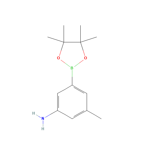 3-methyl-5-(4,4,5,5-tetramethyl-1,3,2-dioxaborolan-2-yl)aniline (CAS: 1312535-18-4) - Related Chemical Product