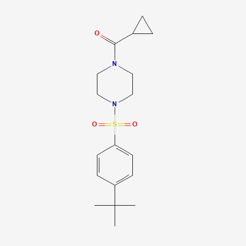 [4-(4-tert-butylphenyl)sulfonylpiperazin-1-yl]-cyclopropylmethanone (CAS: 925580-64-9) - Related Chemical Product