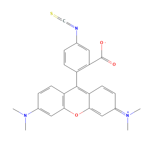 2-[3-(dimethylamino)-6-dimethylazaniumylidenexanthen-9-yl]-5-isothiocyanatobenzoate (CAS: 80724-19-2) - Related Chemical Product