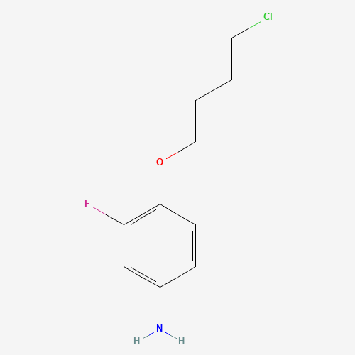 4-(4-chlorobutoxy)-3-fluoroaniline (CAS: 1453214-00-0) - Related Chemical Product
