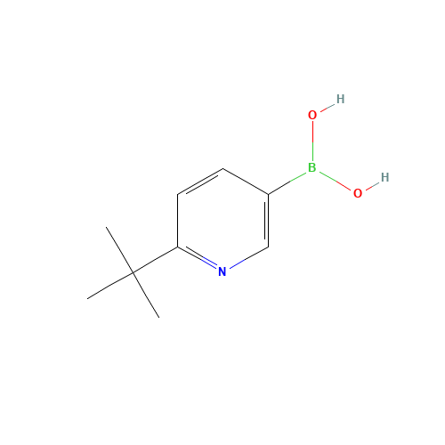 (6-tert-butylpyridin-3-yl)boronic acid (CAS: 1174312-53-8) - Related Chemical Product