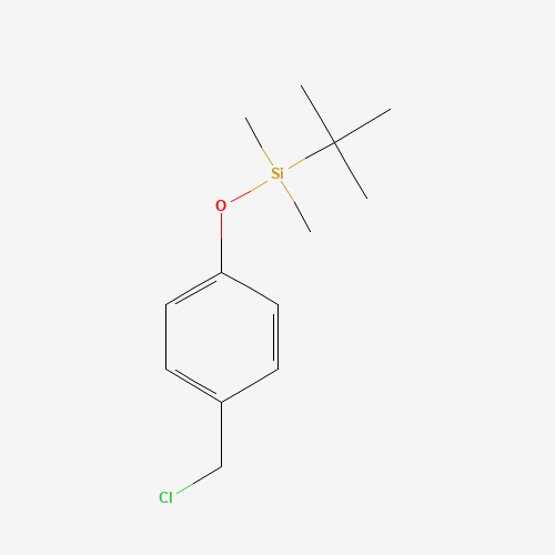 tert-butyl-[4-(chloromethyl)phenoxy]-dimethylsilane (CAS: 138585-09-8) - Related Chemical Product