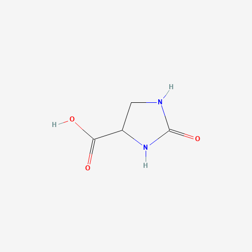 2-oxoimidazolidine-4-carboxylic acid (CAS: 21277-16-7) - Related Chemical Product