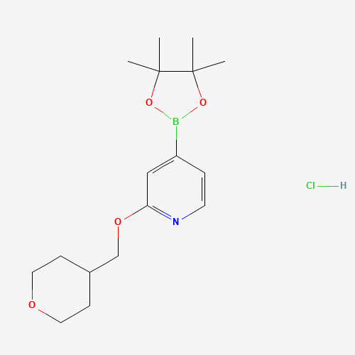 2-(oxan-4-ylmethoxy)-4-(4,4,5,5-tetramethyl-1,3,2-dioxaborolan-2-yl)pyridine;hydrochloride (CAS: 1610520-34-7) - Related Chemical Product