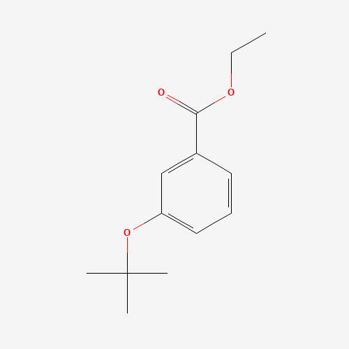 ethyl 3-[(2-methylpropan-2-yl)oxy]benzoate (CAS: 350689-01-9) - Related Chemical Product