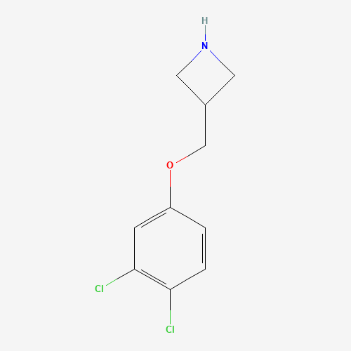 3-[(3,4-dichlorophenoxy)methyl]azetidine (CAS: 1332301-47-9) - Related Chemical Product