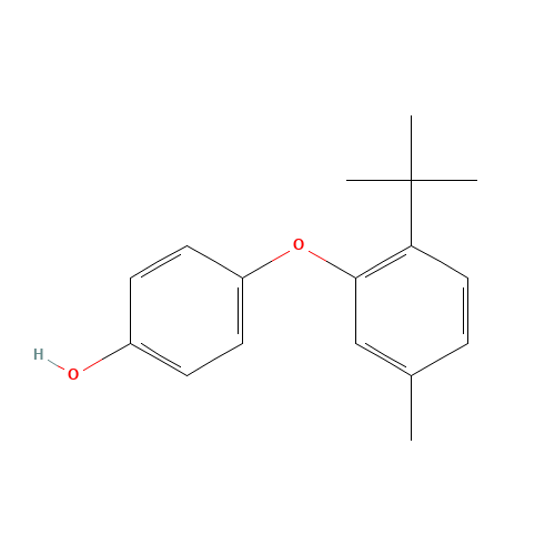 4-tert-butyl-3-methyl-2-phenoxyphenol (CAS: 307000-42-6) - Related Chemical Product
