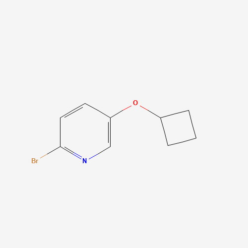 2-bromo-5-cyclobutyloxypyridine (CAS: 1177269-07-6) - Related Chemical Product