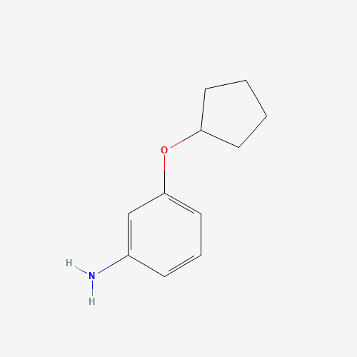 3-cyclopentyloxyaniline (CAS: 653604-38-7) - Related Chemical Product