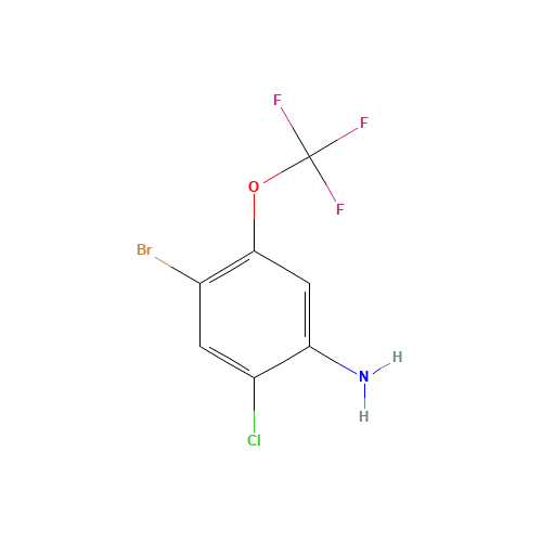 4-bromo-2-chloro-5-(trifluoromethoxy)aniline (CAS: 115844-00-3) - Related Chemical Product
