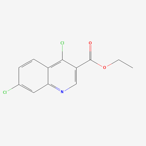 ethyl 4,7-dichloroquinoline-3-carboxylate (CAS: 19499-19-5) - Related Chemical Product