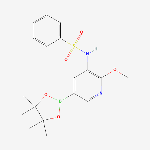 N-[2-methoxy-5-(4,4,5,5-tetramethyl-1,3,2-dioxaborolan-2-yl)pyridin-3-yl]benzenesulfonamide (CAS: 1083326-67-3) - Related Chemical Product