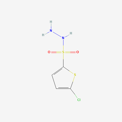 5-chlorothiophene-2-sulfonohydrazide (CAS: 78380-28-6) - Related Chemical Product