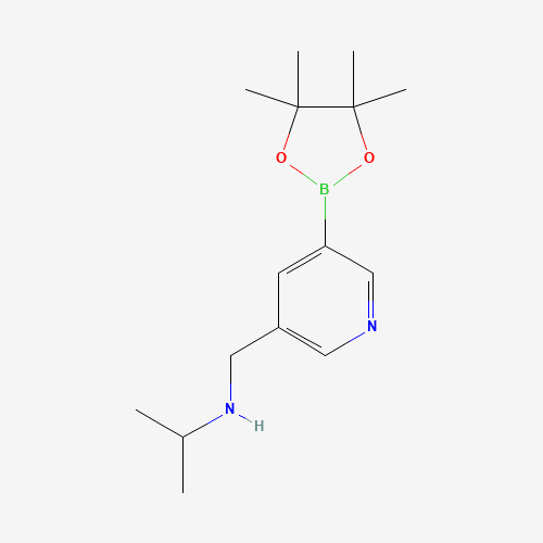 N-[[5-(4,4,5,5-tetramethyl-1,3,2-dioxaborolan-2-yl)pyridin-3-yl]methyl]propan-2-amine (CAS: 919347-30-1) - Related Chemical Product