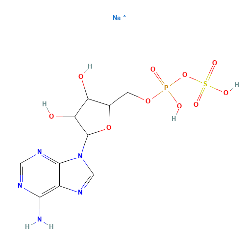 [5-(6-aminopurin-9-yl)-3,4-dihydroxyoxolan-2-yl]methyl sulfo hydrogen phosphate;sodium (CAS: 102029-95-8) - Related Chemical Product