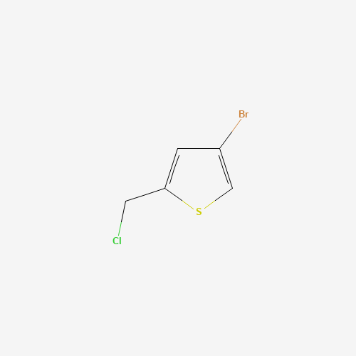 4-bromo-2-(chloromethyl)thiophene (CAS: 170859-70-8) - Related Chemical Product