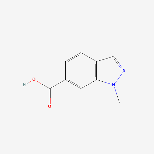 1-methylindazole-6-carboxylic acid (CAS: 1031417-77-2) - Related Chemical Product