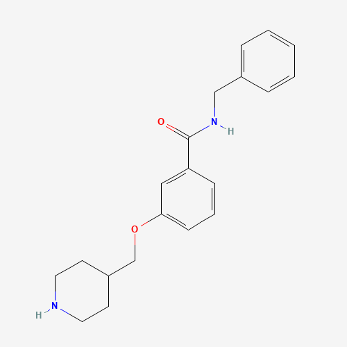 N-benzyl-3-(piperidin-4-ylmethoxy)benzamide (CAS: 1443208-22-7) - Related Chemical Product