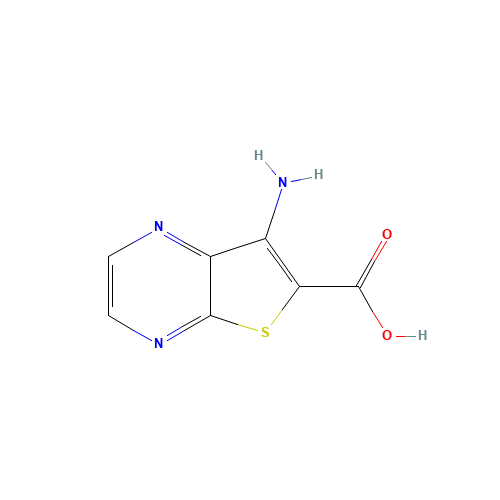 7-aminothieno[2,3-b]pyrazine-6-carboxylic acid (CAS: 56881-31-3) - Related Chemical Product