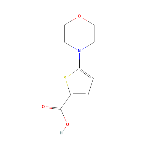 5-morpholin-4-ylthiophene-2-carboxylic acid (CAS: 332345-27-4) - Related Chemical Product