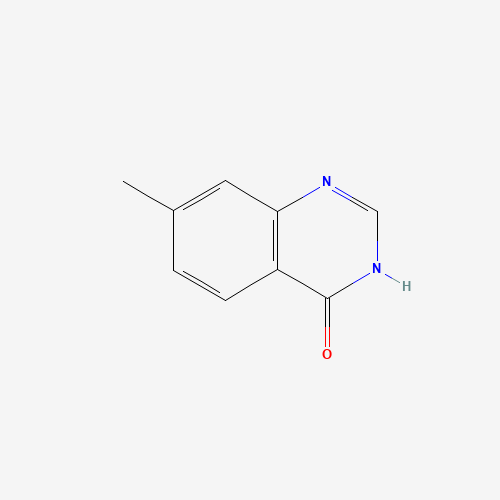7-methyl-1H-quinazolin-4-one (CAS: 75844-40-5) - Related Chemical Product