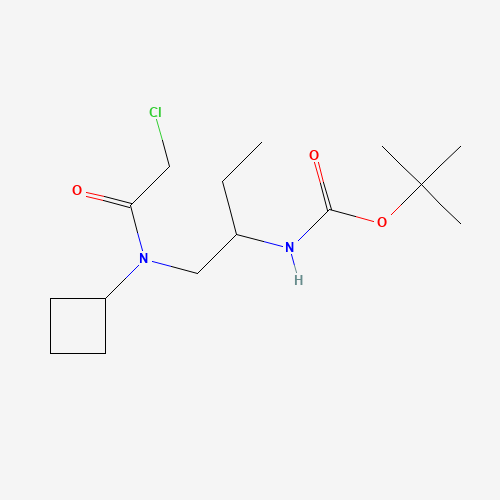 tert-butyl N-[1-[(2-chloroacetyl)-cyclobutylamino]butan-2-yl]carbamate (CAS: 1284249-46-2) - Related Chemical Product
