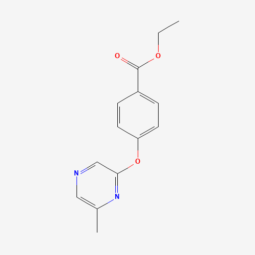 ethyl 4-(6-methylpyrazin-2-yl)oxybenzoate (CAS: 906353-03-5) - Related Chemical Product