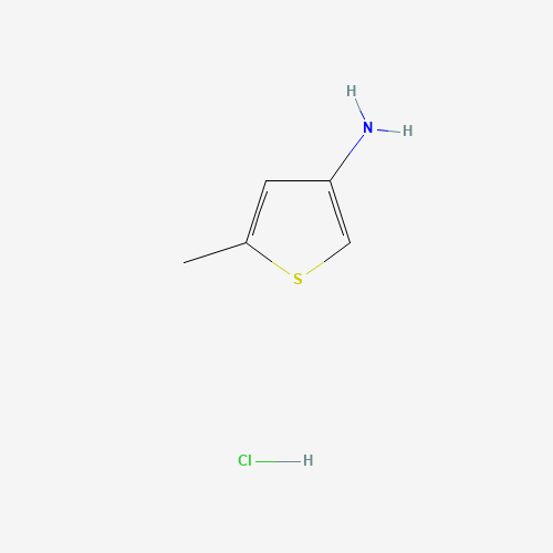 5-methylthiophen-3-amine;hydrochloride (CAS: 24030-01-1) - Related Chemical Product