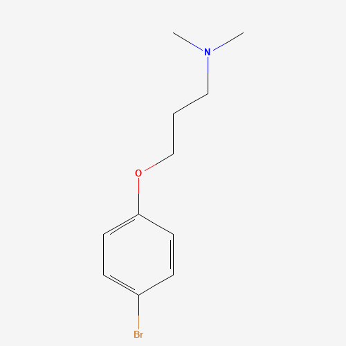 3-(4-bromophenoxy)-N,N-dimethylpropan-1-amine (CAS: 76579-64-1) - Related Chemical Product