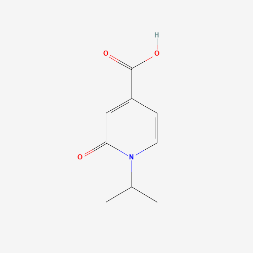 2-oxo-1-propan-2-ylpyridine-4-carboxylic acid (CAS: 1203544-02-8) - Related Chemical Product