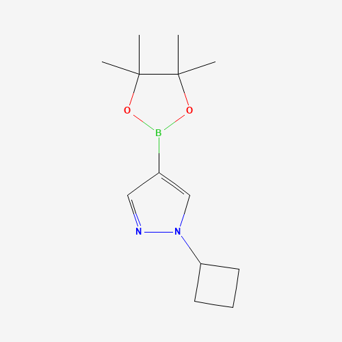 1-cyclobutyl-4-(4,4,5,5-tetramethyl-1,3,2-dioxaborolan-2-yl)pyrazole (CAS: 1002309-48-9) - Related Chemical Product