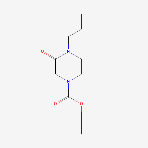 tert-butyl 3-oxo-4-propylpiperazine-1-carboxylate (CAS: 1016538-84-3) - Related Chemical Product
