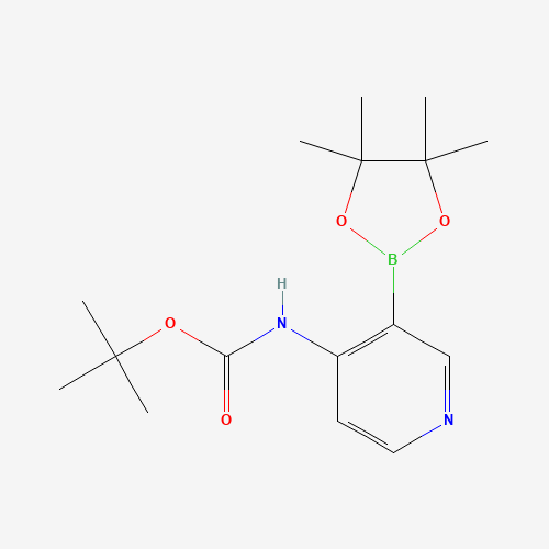 tert-butyl N-[3-(4,4,5,5-tetramethyl-1,3,2-dioxaborolan-2-yl)pyridin-4-yl]carbamate (CAS: 1073354-02-5) - Related Chemical Product