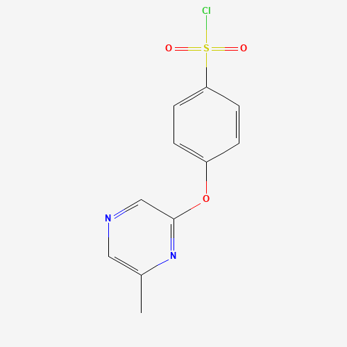 4-(6-methylpyrazin-2-yl)oxybenzenesulfonyl chloride (CAS: 926921-66-6) - Related Chemical Product