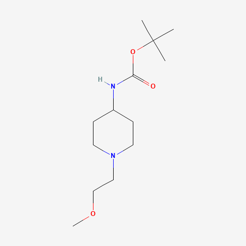 tert-butyl N-[1-(2-methoxyethyl)piperidin-4-yl]carbamate (CAS: 502639-07-8) - Related Chemical Product