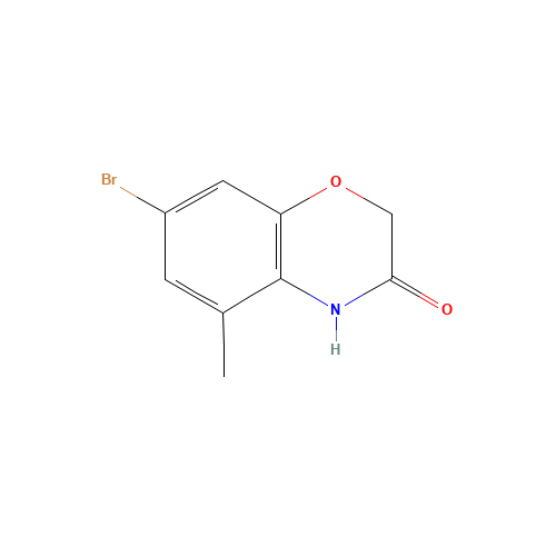 7-bromo-5-methyl-4H-1,4-benzoxazin-3-one (CAS: 1246651-99-9) - Related Chemical Product