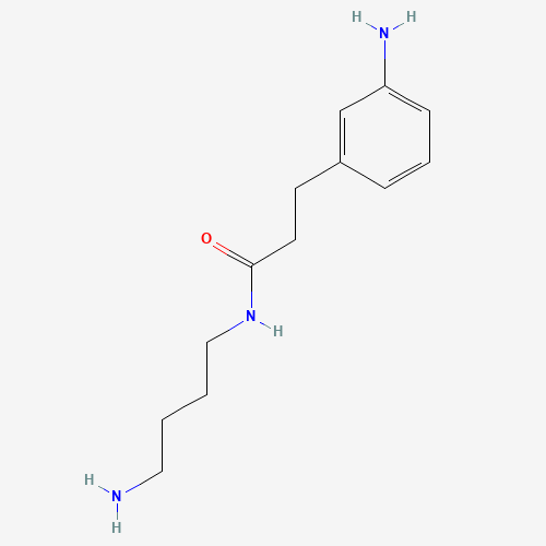 N-(4-aminobutyl)-3-(3-aminophenyl)propanamide (CAS: 273746-72-8) - Related Chemical Product