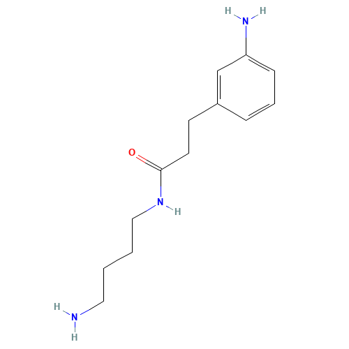 N-(4-aminobutyl)-3-(3-aminophenyl)propanamide (CAS: 273746-72-8) - Related Chemical Product