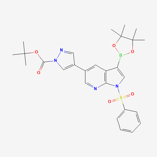 tert-butyl 4-[1-(benzenesulfonyl)-3-(4,4,5,5-tetramethyl-1,3,2-dioxaborolan-2-yl)pyrrolo[2,3-b]pyridin-5-yl]pyrazole-1-carboxylate (CAS: 1147998-42-2) - Related Chemical Product